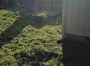 Cleanups by Gordon Grylls for Andrew D. in Puyallup, WA