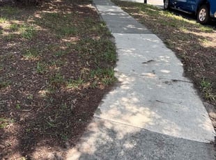 Leaf Removal by Christopher Oropeza for Detrick P. in Orlando, FL