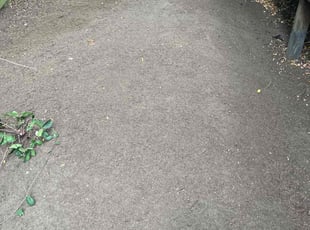Cleanups by Jae Ayres for Dustin G. in Seattle, WA