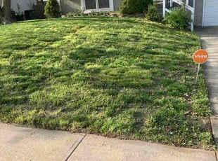 Cleanups by Justin Daniel for Quinnton B. in Kansas City, MO
