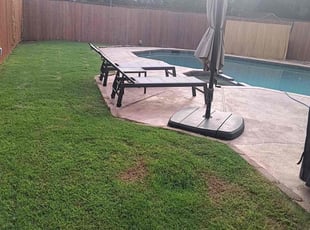 Leaf Removal by Brian Orozco for Bart S. in Plano, TX
