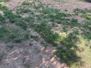 Cleanups by Luiz Gosling De Oliveira for Tarik Y. in Silver Spring, MD