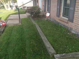 Bush Trimming by Tyrone Wilkins for Yvette R. in College Park, MD