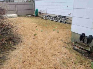 Leaf Removal by Ryan Kunz for Ann H. in Brick Township, NJ