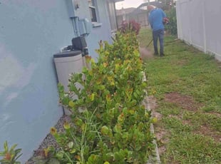 Kathy W.'s Bush Trimming service result