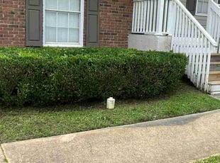 Kent R.'s Bush Trimming service result