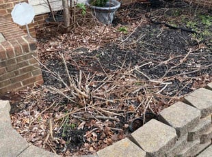 Cleanups by Ron Goldshmid for Morgan W. in Indian Trail, NC