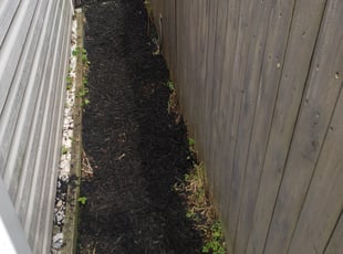 Weeding by Jamil Hafeeza for Ariane W. in Burlington, NJ