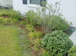Weeding by Christopher Webb for Jeremy G. in Baton Rouge, LA