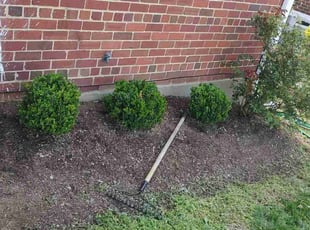 Weeding by Allan Roberts for Dawn F. in Silver Spring, MD