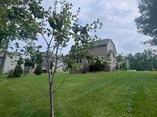 Carolyn M.'s Yard Cutting service result