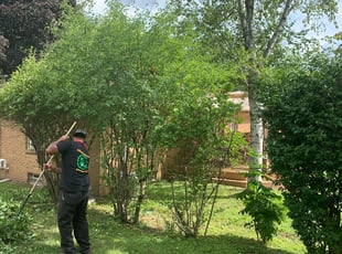 Bush Trimming by Ryan Cooper for Amy V. in Grand Rapids, MI