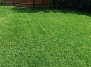 Craig V.'s Lawn Service service result