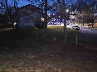 Leaf Removal by Olson Parker for Cafiann M. in Greater Landover, MD