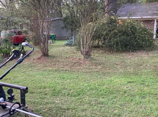 Leaf Removal by Ed Robinson for Robin C. in Montgomery, TX