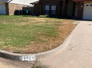 Bush Trimming by Jessie Revilla Sanchez for Ryan M. in Oklahoma City, OK