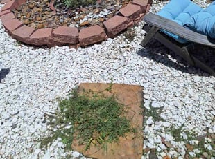 Cheryl H.'s Flower Bed Weeding service result