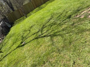 reuben l.'s Grass Cutting service result