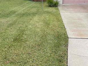 Leaf Removal by Miguel Ybarra for Bernie G. in New Braunfels, TX