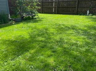Cleanups by Jose Sanchez for Nicholas R. in Aurora, IL