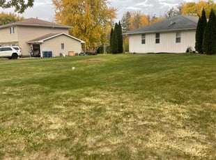 Leaf Removal by Jose Sanchez for Emma L. in Aurora, IL
