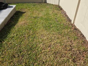 Leaf Removal by Aneudy Roldan for SARGE S. in Oviedo, FL