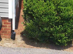 Carla W.'s Leaf Removal service result