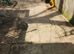 Leaf Removal by Z. T. for Sam B. in Ferndale, MI