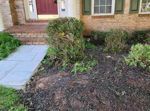 Bush Trimming by Samuel Foster for Ali H. in Fairfax, VA
