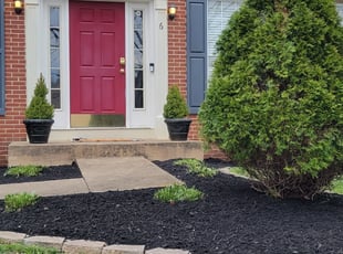 Mulching by Gustavo Martinez for Randy C. in Stafford, VA
