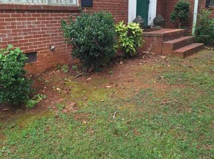 Bush Trimming by Marsha Cooper for Mike E. in Avondale Estates, GA