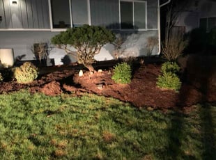 Landscaping by J Harrison for Jill S. in Renton, WA