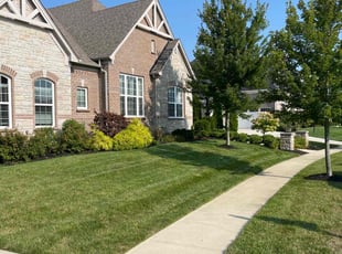 David T.'s Lawn Mowing Service service result