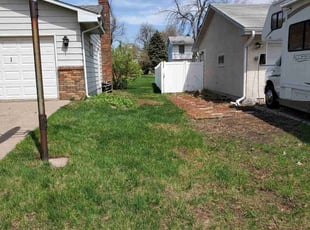 Cleanups by Anthony Allison for Mark v. in Roseville, MN