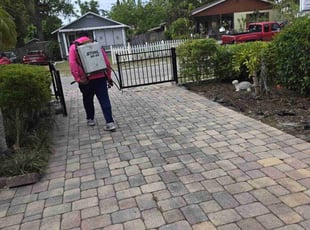 Weeding by Elvis Pintado for Michele W. in Tampa, FL
