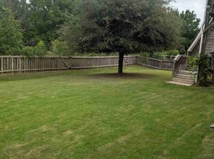 Tracy L.'s Lawn Mowing service result