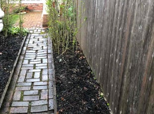 Weeding by Stephan Coleman for Margaret M. in Columbus, OH