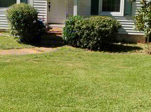 Bush Trimming by "Buddy" Johnson for Lydia H. in Atlanta, GA