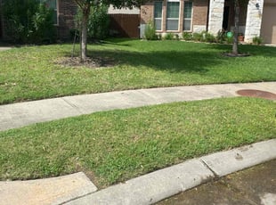 Rudi F.'s Lawn Mowing service result