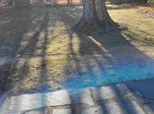 Leaf Removal by Mike Williams for Douglas T. in Richmond, VA