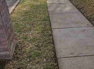 Leaf Removal by Manuel Solis Soto for Matt R. in Carrollton, TX