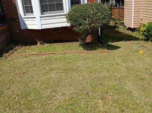 Bush Trimming by Joshua Walker for Octavius G. in Lithonia, GA