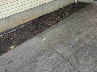 Leaf Removal by Rayshawn Martin for Latonya J. in Cleveland, OH
