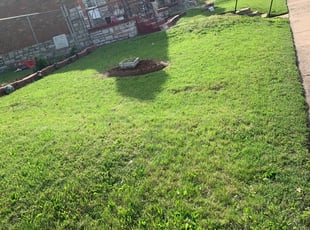 Mulching by Christopher Brown for Portia W. in St. Louis, MO