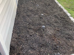 Weeding by Alvin Weekes for Jason R. in West Haven, CT
