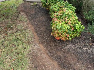 Weeding by Melvin Pryor for Maddie M. in Nashville, TN