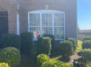 Bush Trimming by Terrence Jones for Jamie B. in Atlanta, GA