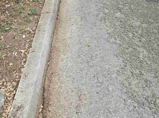 Leaf Removal by Ray Ramon for Kerry R. in Universal City, TX