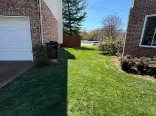 Cleanups by Austin Honnick for Kristina J. in Franklin, TN