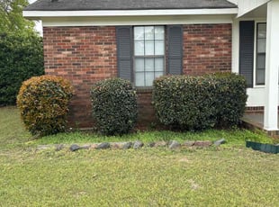 Bush Trimming by Antonio Rhodes for Demetra A. in Hephzibah, GA